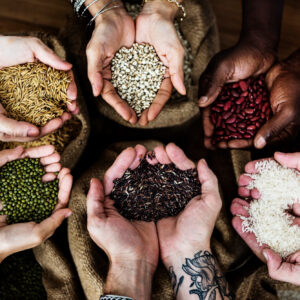 Seeds