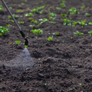 Herbicides