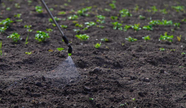 Herbicides