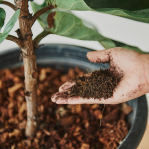 Fertilizers