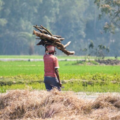 agriculture-g8fb0db61c_1920