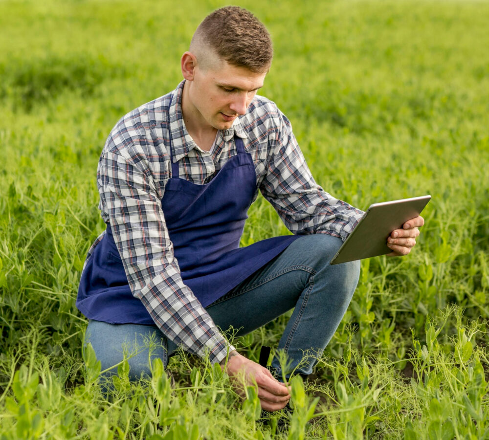 high-angle-farmer-with-tablet high-angle-farmer-with-tablet
