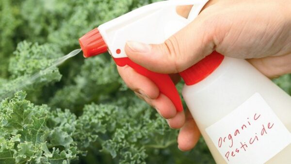 Bio pesticides