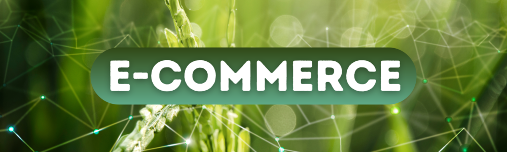 E Commerce E Commerce