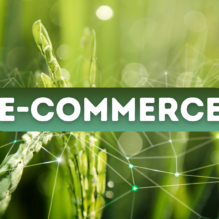 E Commerce