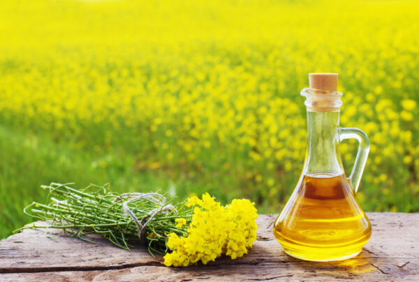 Mustard oil