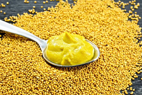 Mustard loose