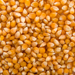 Maize loose